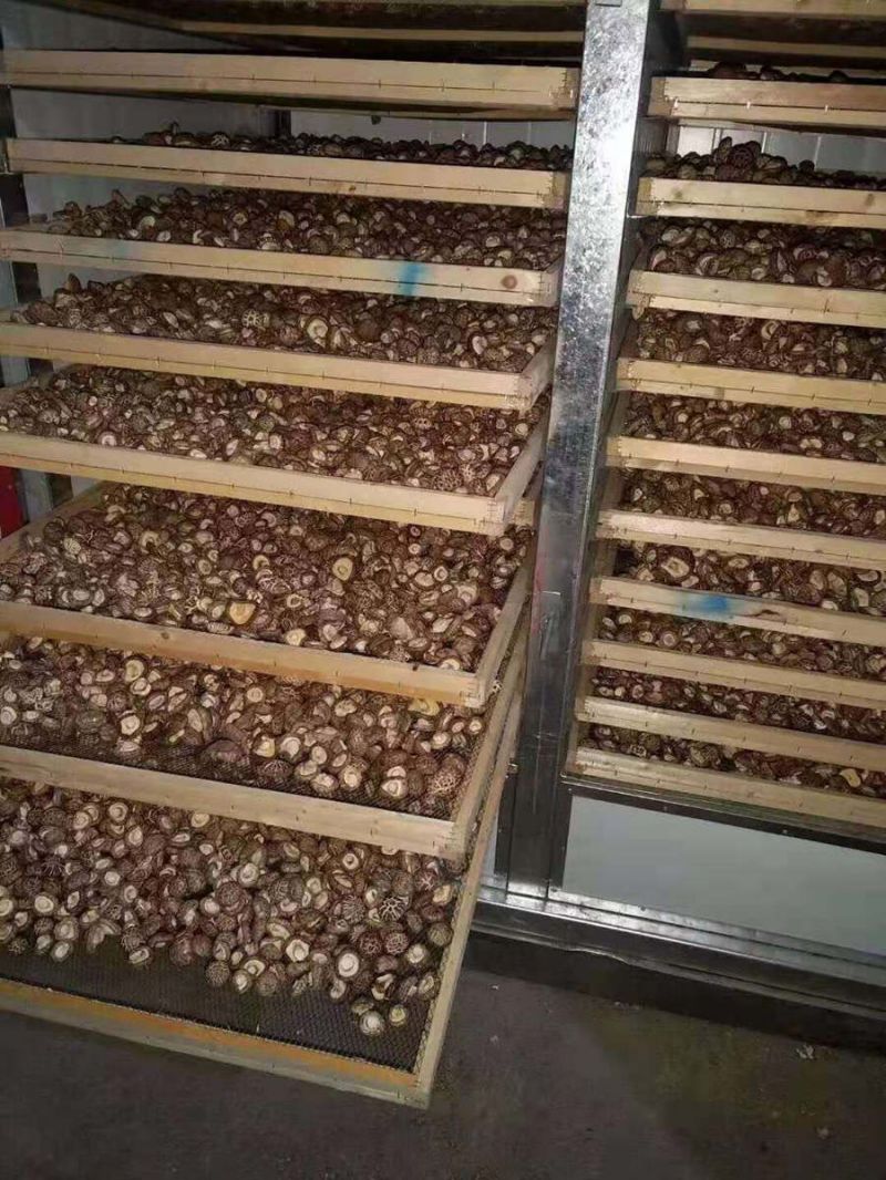 HNHGJ-D4型電加熱型箱式自動脫水烘干機 HNHGJ-D4型電加熱型箱式自動脫水烘干機